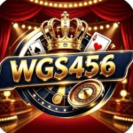 WGS456 Game